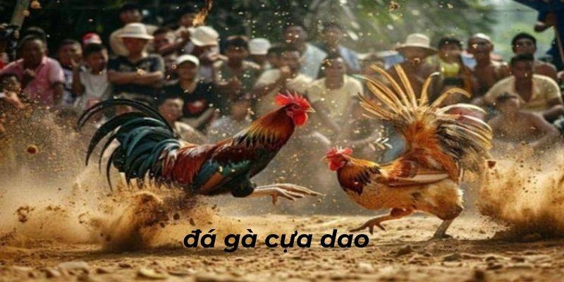 Những điểm mạnh thu hút người chơi đá gà cựa dao tại QQ88