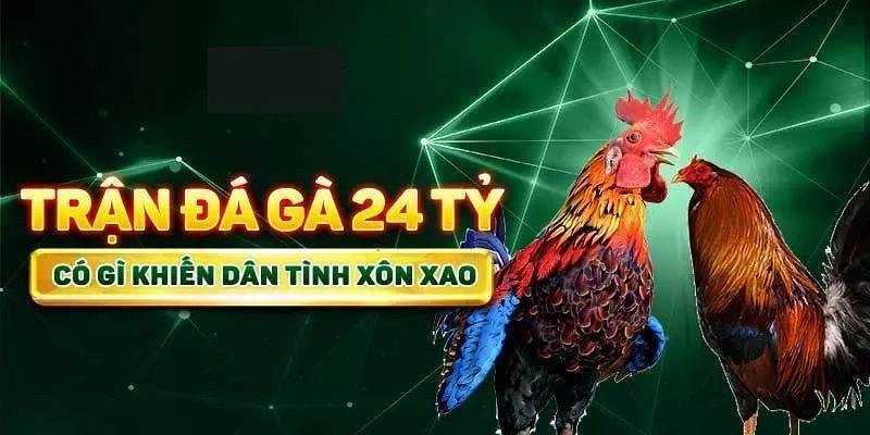 trận gà đá 24 tỷ